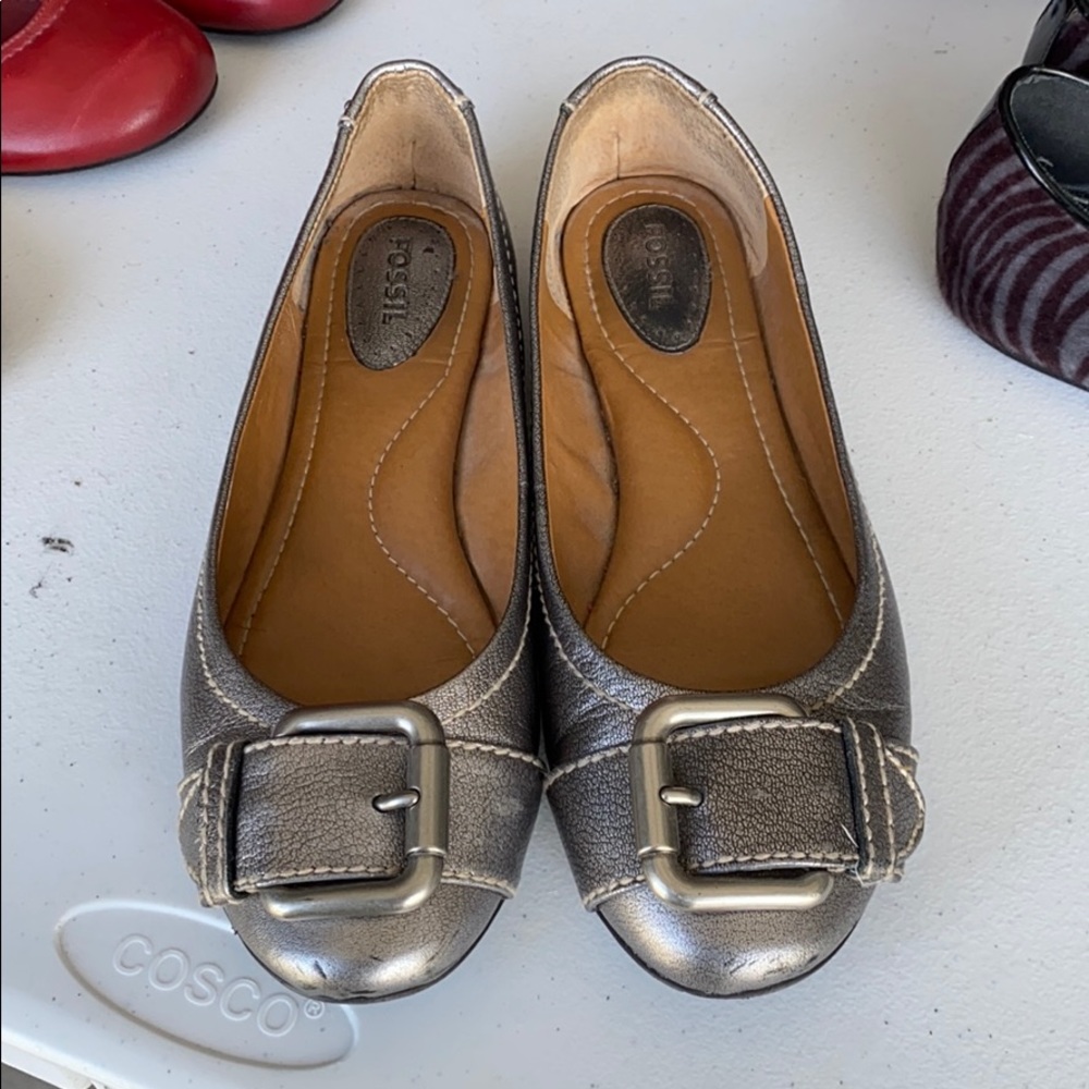 Silver flats by fossil